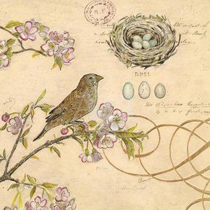 Nature's Observations 1 Chad Barrett Framed Wall Art 13 in x 13 in (approx)